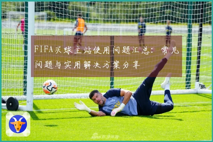 FIFA买球主站使用问题汇总：常见问题与实用解决方案分享
