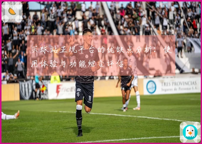 买球站正规平台的优缺点分析：使用体验与功能综合评估