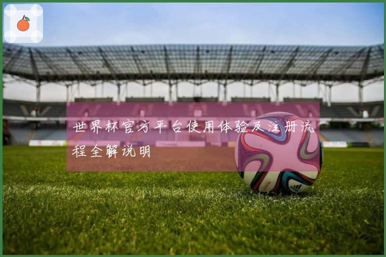 世界杯官方平台使用体验及注册流程全解说明